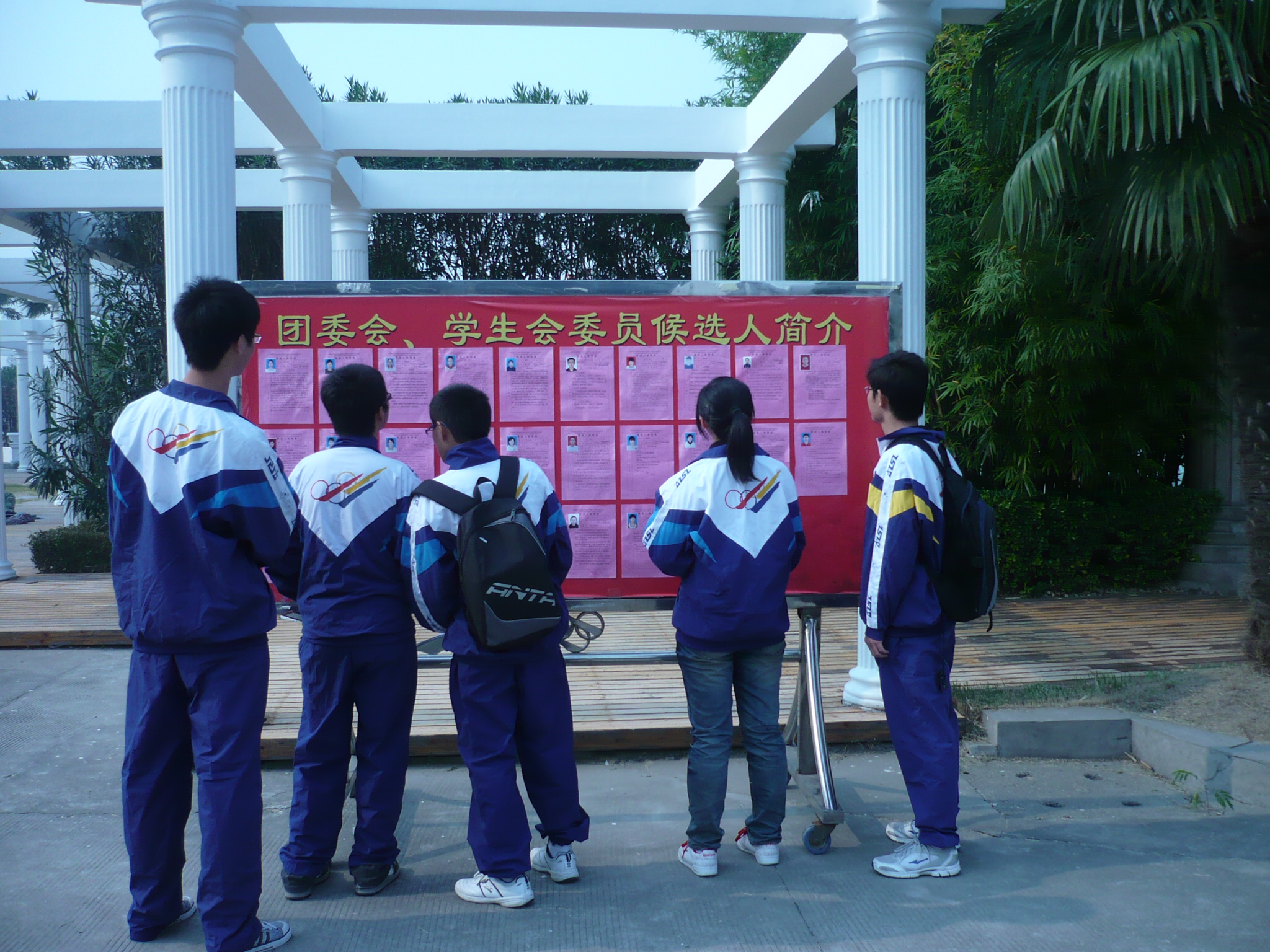 同学们在候选人简介公示栏前驻足观看
